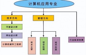 包装设计专业就业方向(包装设计专业就业怎么样)