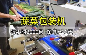 包装机器多少钱(包装机包装机价格)