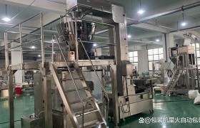 全自动包装机械设备生产厂家排名榜(全自动包装机械设备生产厂家排名榜单)