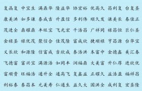 包装制品公司名字大全(包装制品公司名字大全四个字)