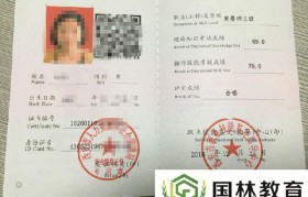 包装设计师三级证书怎么考(包装设计师国家职业技能标准)