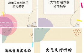 大气的包装公司名字(大气的包装公司名字有哪些)