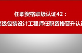 包装工程师分类等级(包装工程师分类等级有哪些)