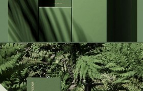 包装设计优秀作品图片(包装设计优秀作品图片大全)