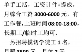 包装机械设备厂在哪里招聘(包装机械设备厂在哪里招聘的)