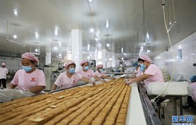 漳州食品机械厂(漳州食品机械厂地址)