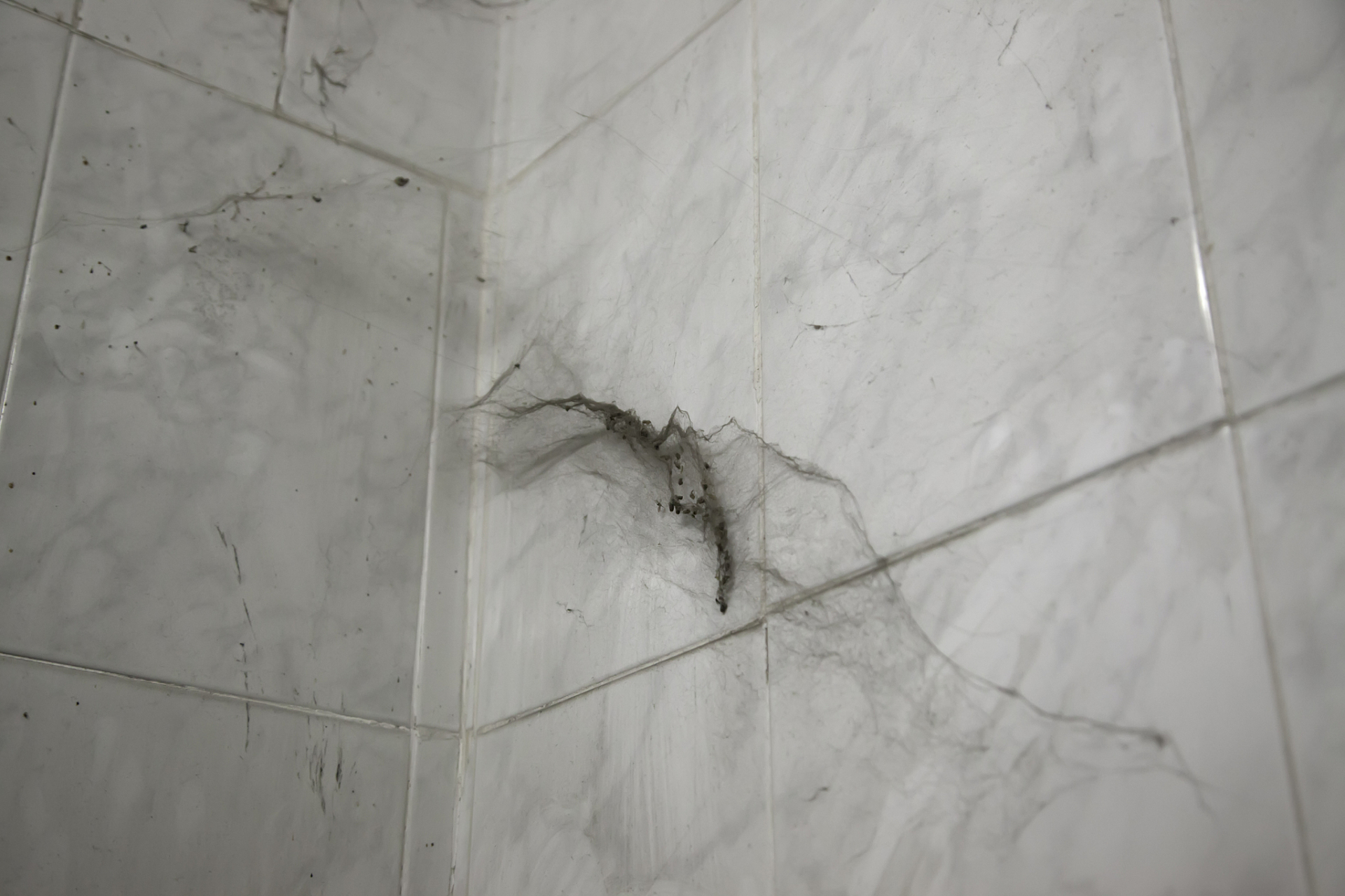 墙砖空鼓怎么修补视频教程(针对近两年墙砖空鼓的现象的维修方法)